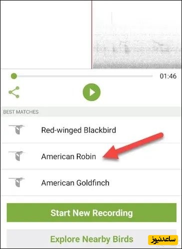 تصویراپ Merlin Bird ID