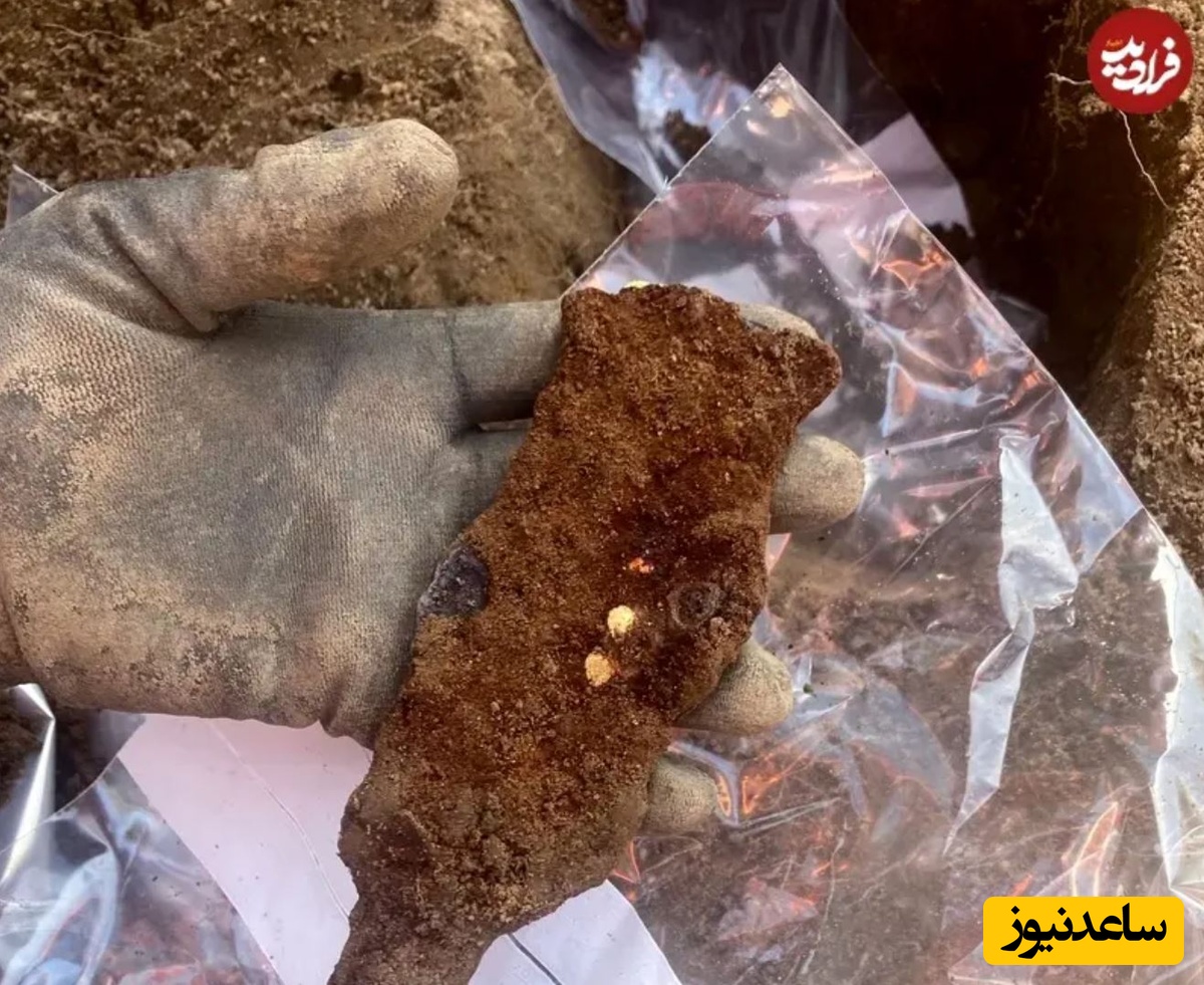 یکی از قطعات طلاکوب در لحظۀ کشف