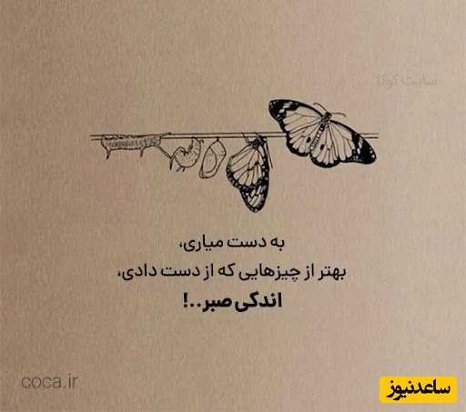 پیام امروز کائنات؛هیچ طوفانی برای همیشه نمی‌بارد، گاهی فقط باید پناه بگیری، صبر کنی….+ ویدیو