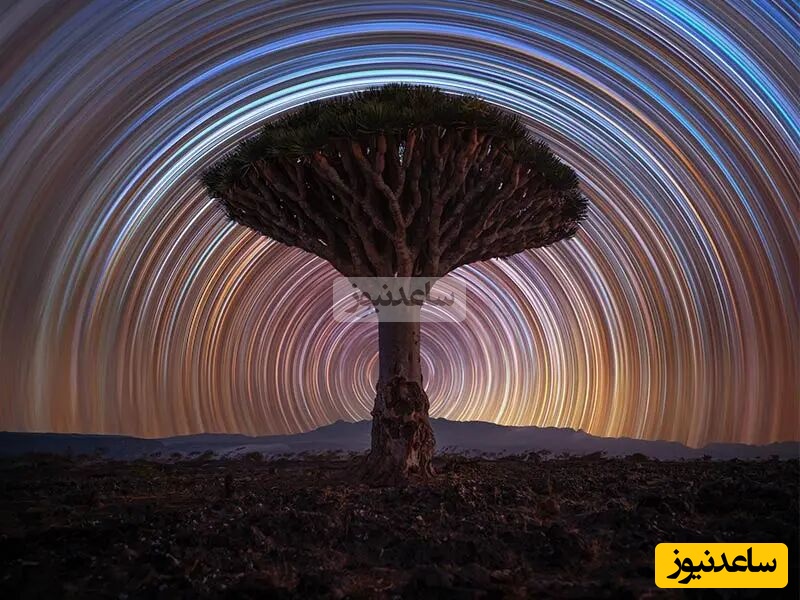 10 مورد از حیرت‌انگیزترین پدیده‌های طبیعی جهان که بیش از 90% مردم دنیا شانس دیدنشان را ندارند/ اکثریت مردم فقط شانس دیدن تصاویر این شگفتی‌های طبیعت را دارند