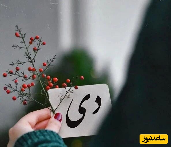 7 مدل کیک تولد شیک برای دی‌ماهی‌ها؛ ساده، خاص و به سلیقه متولدین برج جدی