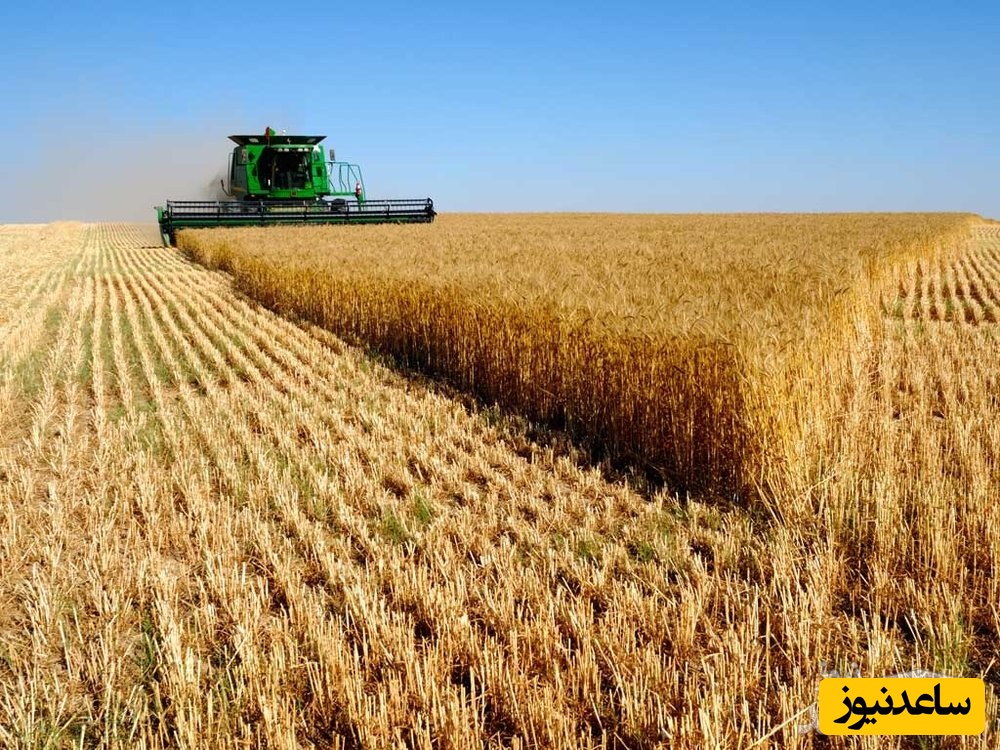 آشنایی با رشته ترویج و آموزش کشاورزی و بازار کار آن