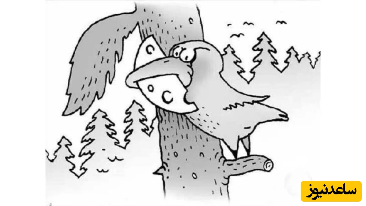 معمای خطای دید