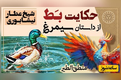 حکایت‌های خواندنی/ داستان مجذوب کننده مُرغابی و مرد دیوانه؛ منطق الطیر عطار نیشابوری