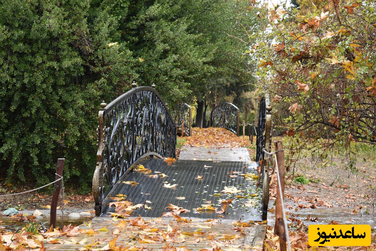 باغ گیاه شناسی