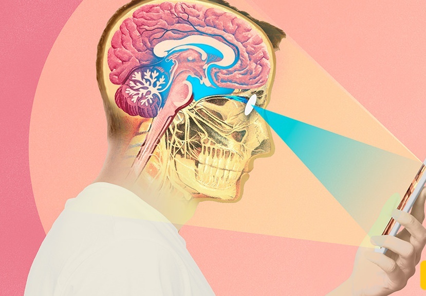 تاثیر فیلم مستهجن بر مغز