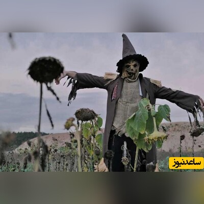 خطای دید/ حتی افرادی با ضریب هوشی بالا نمی‌توانند «چوب گلف» را در 