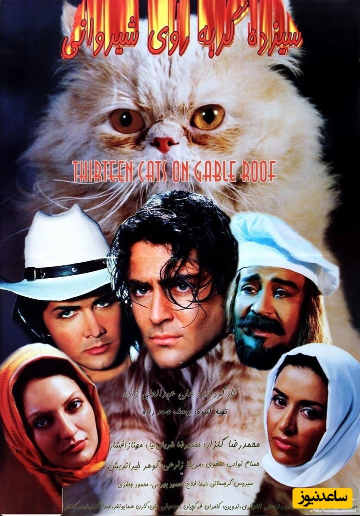 معرفی فیلم 13 گربه روی شیروانی
