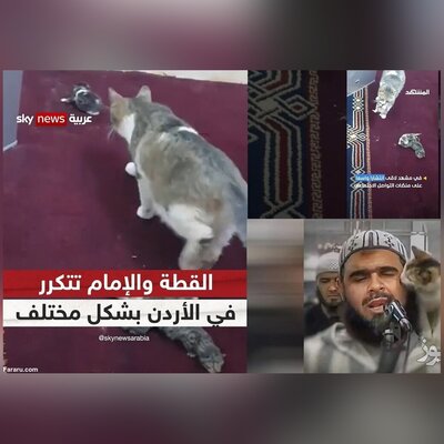 (ویدئو) ادامه داستان امام جماعت و گربه؛ این بار زایمان یک گربه در منبر مسجد