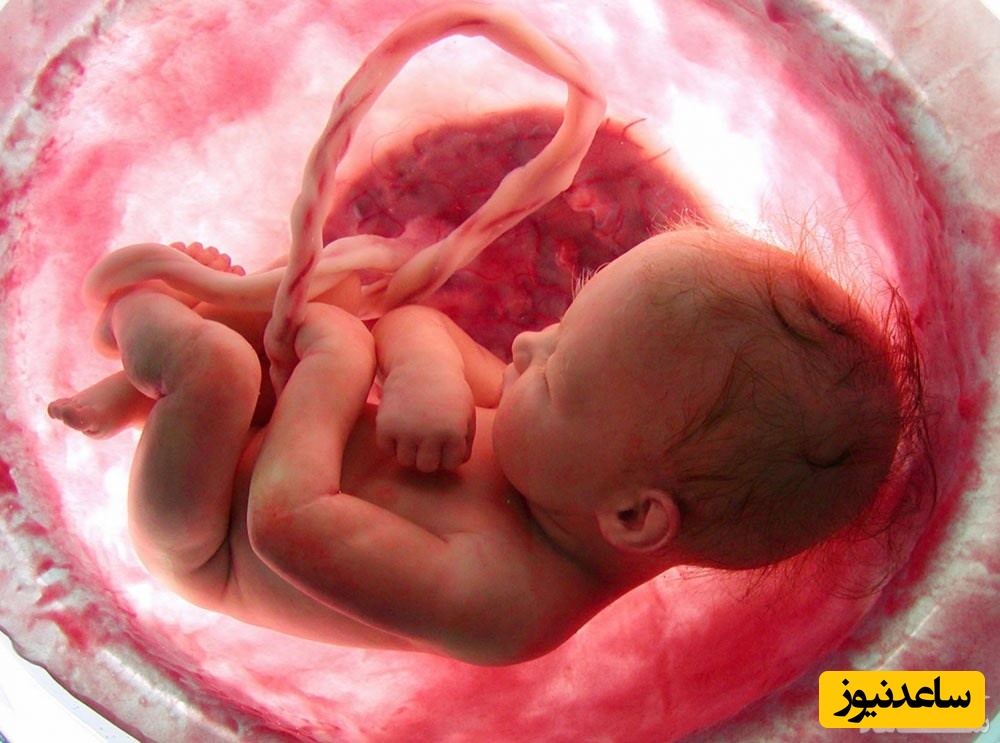 بهترین روش برای رشد و وزن گیری جنین در دوران بارداری