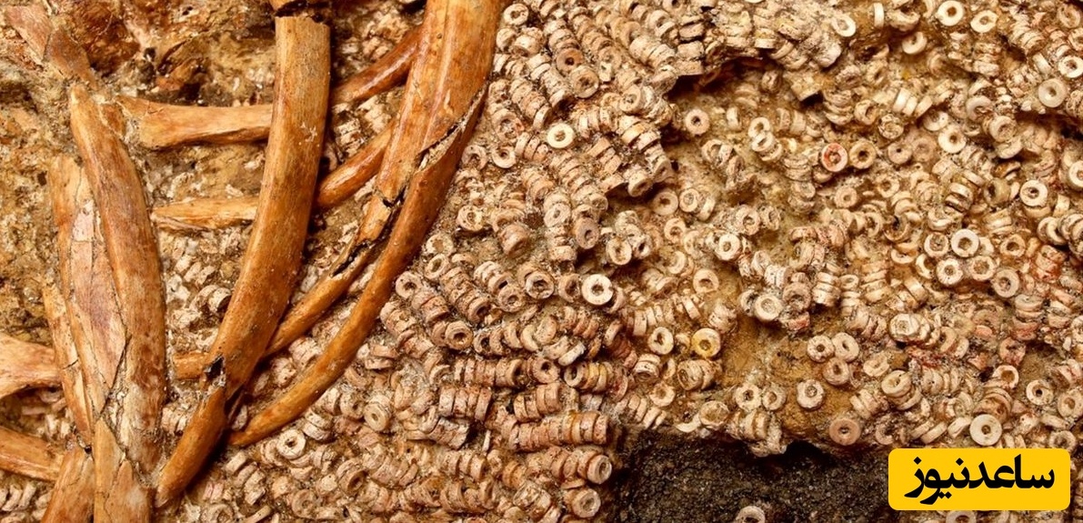 کشف مجموعۀ حیرت‌انگیز هزاران «مهرۀ صدفی» در یک مقبره باستانی