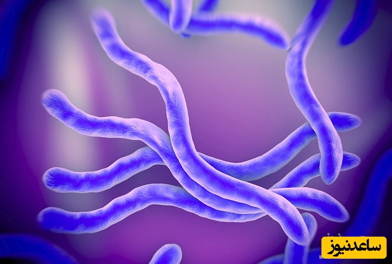 منابع و دروس رشته انگل شناسی و ضرایب آن در مقطع کارشناسی ارشد