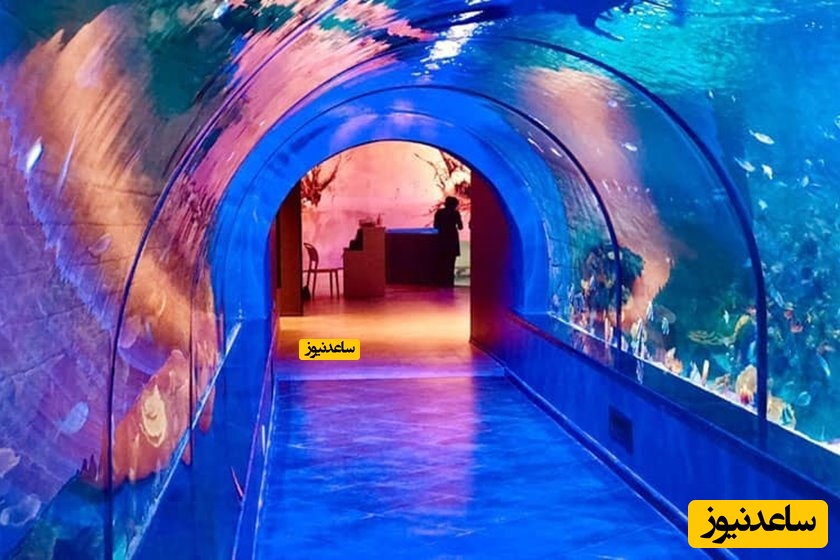 آشنایی با جاذبه های آکواریوم انزلی