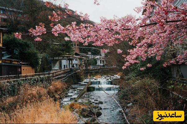 هاکونه ژاپن