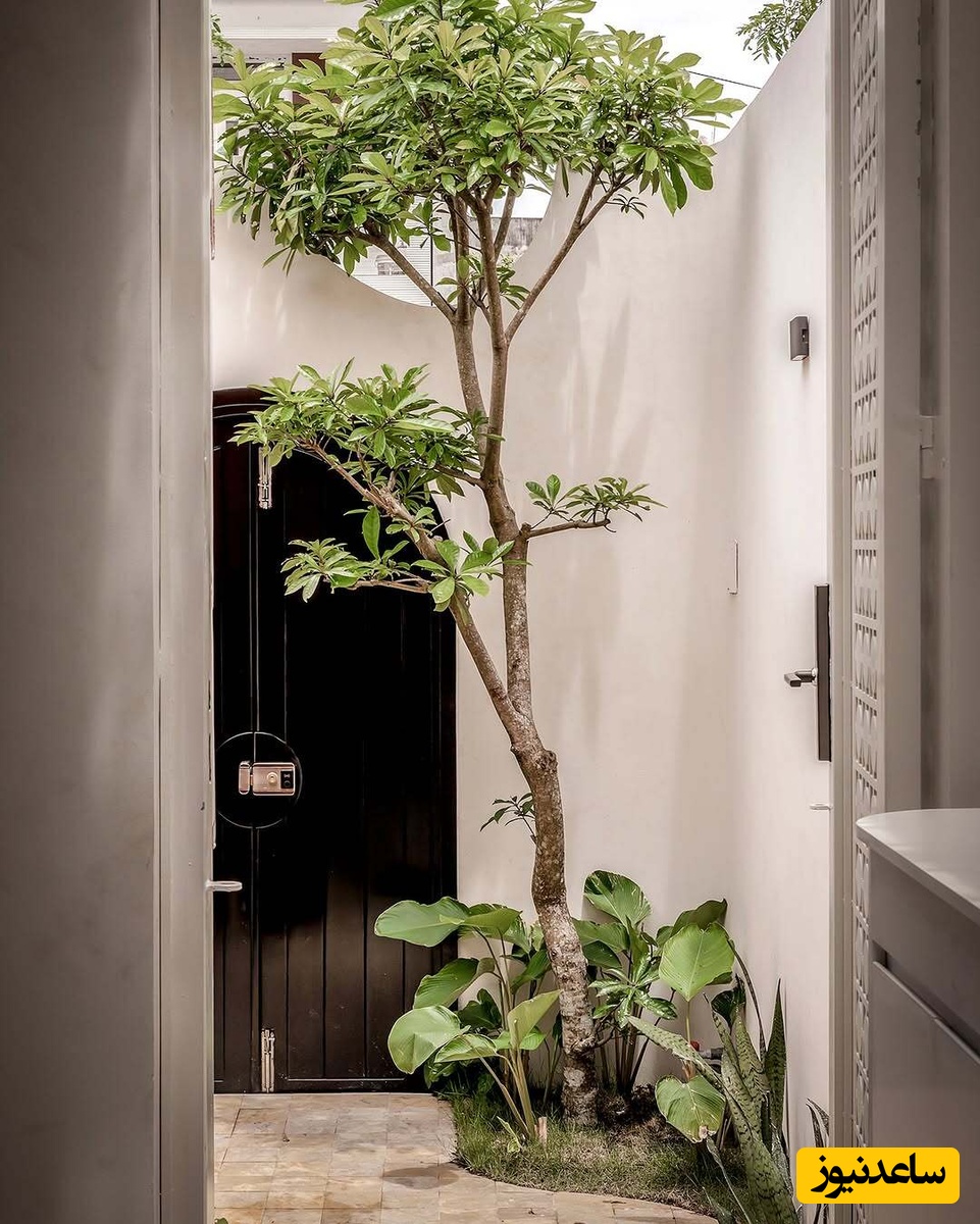 خانه های زیبای جهان