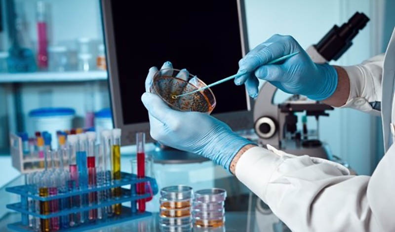 تحول پزشکی در ایران/ فناوری سلولی نویدبخش درمان نخاع و ناباروری شد