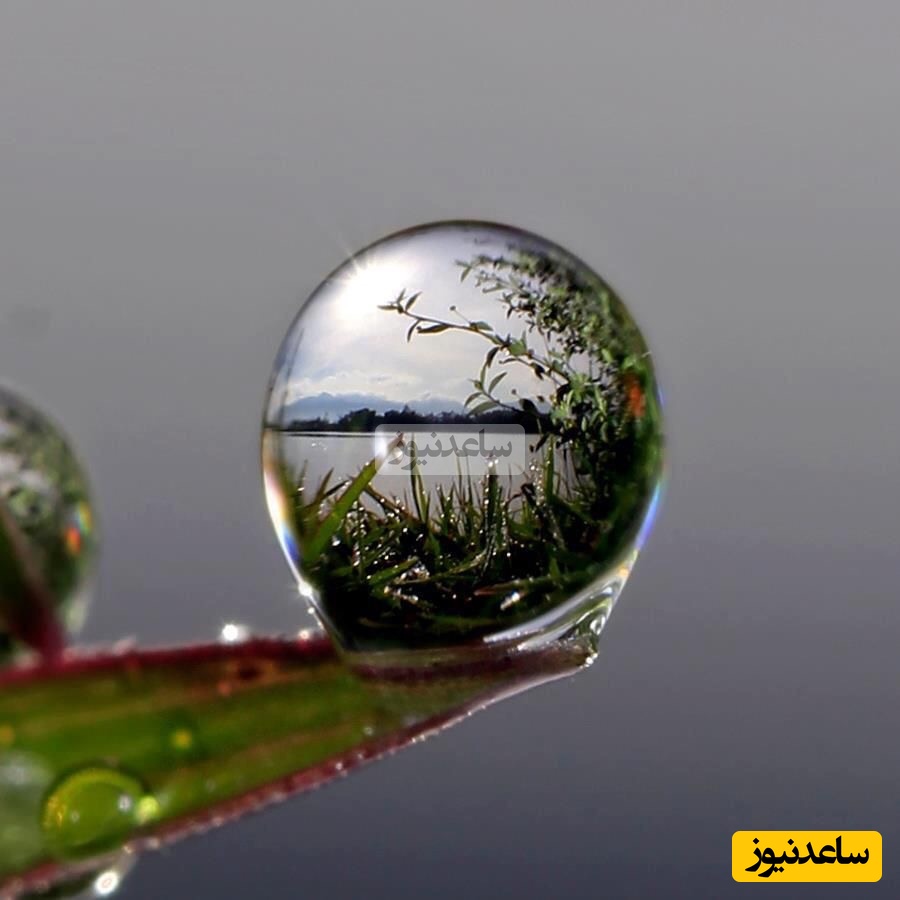 اگه فقط یه قطره آب روی هر سیاره بریزیم چی میشه؟/ فقط عطارد که توش بمب اتم میترکه!😂