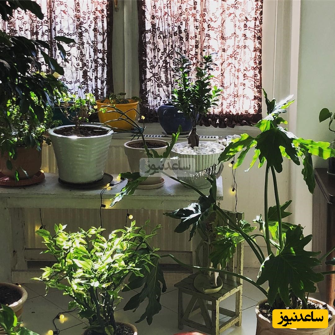 چیدمان منزل الهام کردا