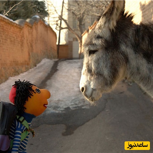 خاطره انگیزترین نوستالژی‌ مهرماه ایرانی و بازگشایی مدرسه با کلاه قرمزی/ سلام الاغ عزیز حالت چطوره؟/ بریم درس بخونیم مشق بخونیم😍