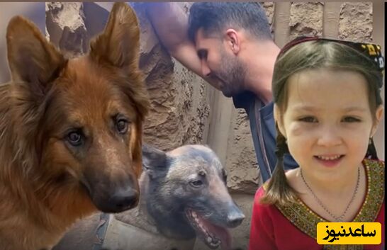 تیدا و سگ‌های زنده یاب در جست‌وجوی یسنا، کودک مفقود شده در کلاله +ویدئو