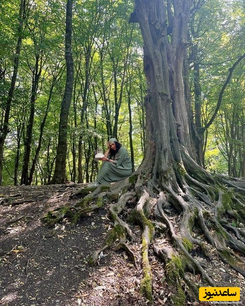 پریناز ایزدیار