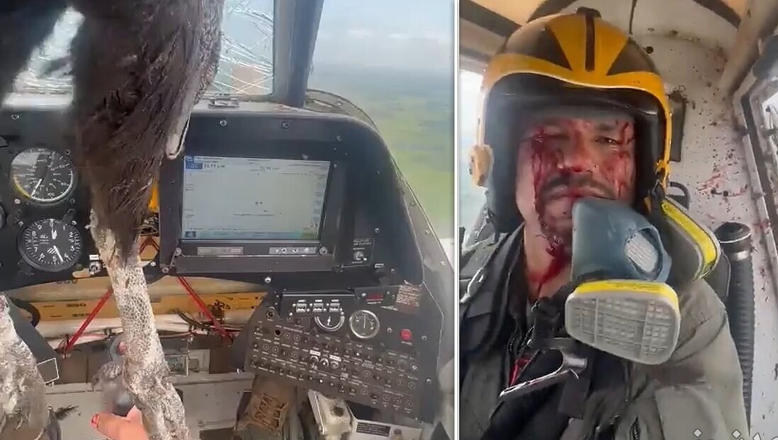 (ویدئو) چهره غرق در خون خلبان پس از برخورد یک پرنده به هواپیما
