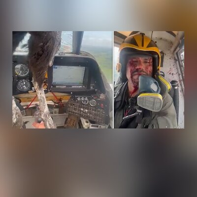 (ویدئو) چهره غرق در خون خلبان پس از برخورد یک پرنده به هواپیما