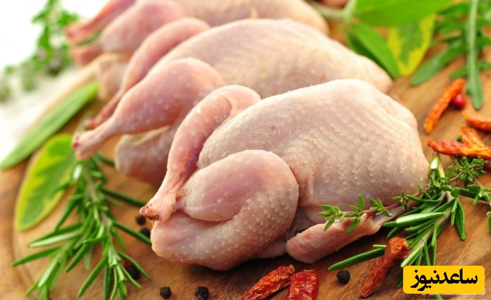 آشنایی با گوشت های سفید و روش های گوناگون پخت مرغ+ عکس