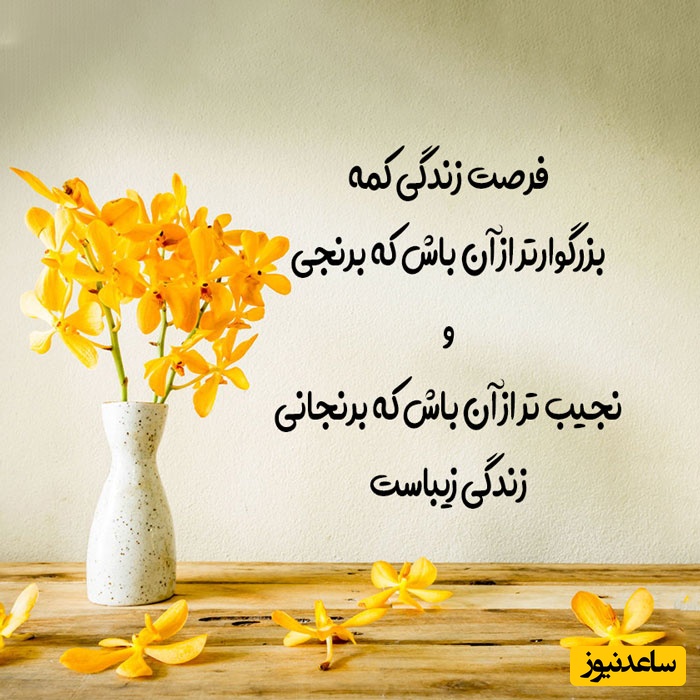 کائنات پیام ویژه ای برات داره؛ آرام باش هیچ‌کس محکوم به تنهایی در تاریکی نیست؛گاهی فقط یک صدای مهربان کافی‌ست تا چراغِ امید دوباره در دلت روشن شود../ پیام انگیزشی امروز 1 اردیبهشت 1405+ ویدئو