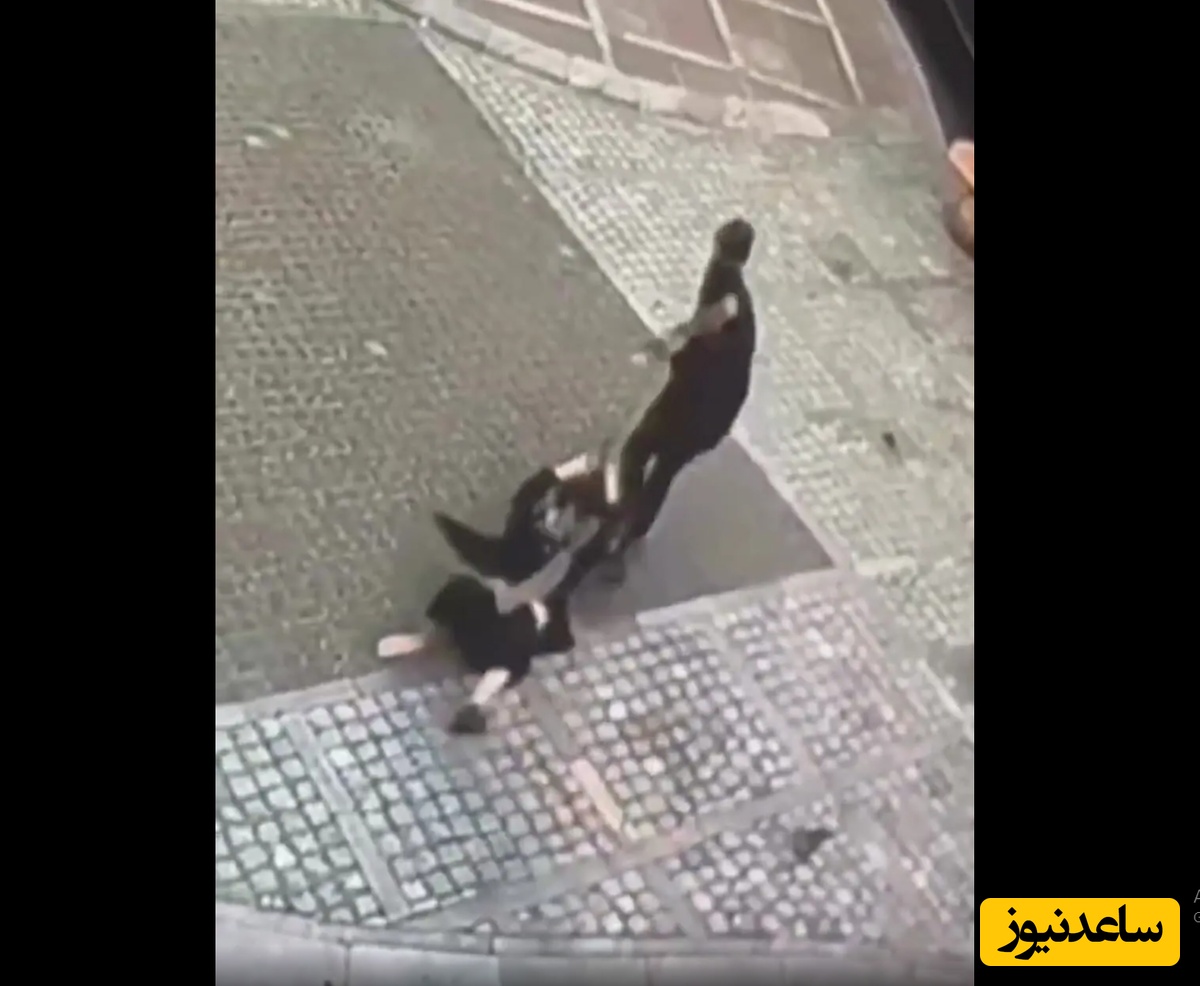 لحظه سرقت وحشیانه گوشی دختر جوان در سعادت‌آباد/ بازسازی صحنه + عکس و فیلم