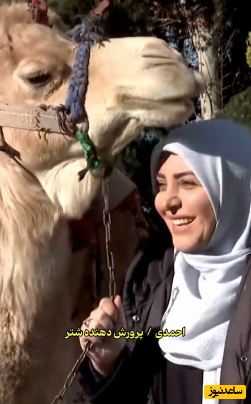 کلید اسرار؛ کنایه نیش دار المیرا شریفی مقدم به انسان های شتر صفت زندگی اش: به آدم قدرنشناس که کینه به دل بگیره بخواد بهت ضربه بزنه میگن کینه شتری داره/ شتر نباشید!😂