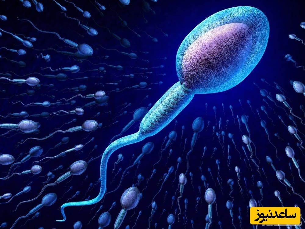 اختلالات اسپرم؛ علت اصلی ناباروری در مردان