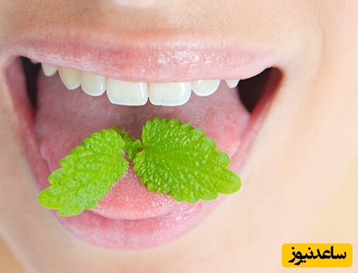 مراحل لازم برای داشتن دهان خوشبو