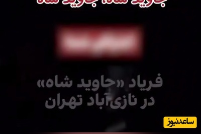 شعارهای جاوید شاه را جدی نگیرید! این ها فرق رضا شاه و محمدرضا شاه را هم نمی‌دانند