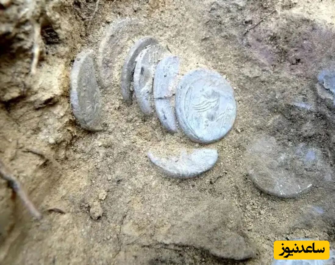 کشف گنجینۀ سکه‌هایی که در دوران روم باستان در جنگل دفن شده بودند