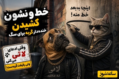 خط و نشون کشیدن خنده‌دار گربه برای سگ؛ وقتی ادعای لاتی می‌کنی ولی رفیقت گربه‌ست🤣