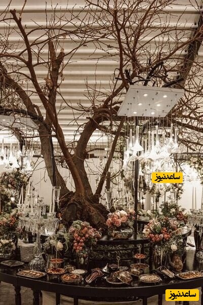 مریم معصومی