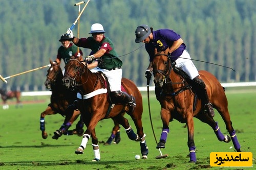 دیدن چوگان در خواب چه تعبیری دارد ؟ / تعبیر خواب چوگان