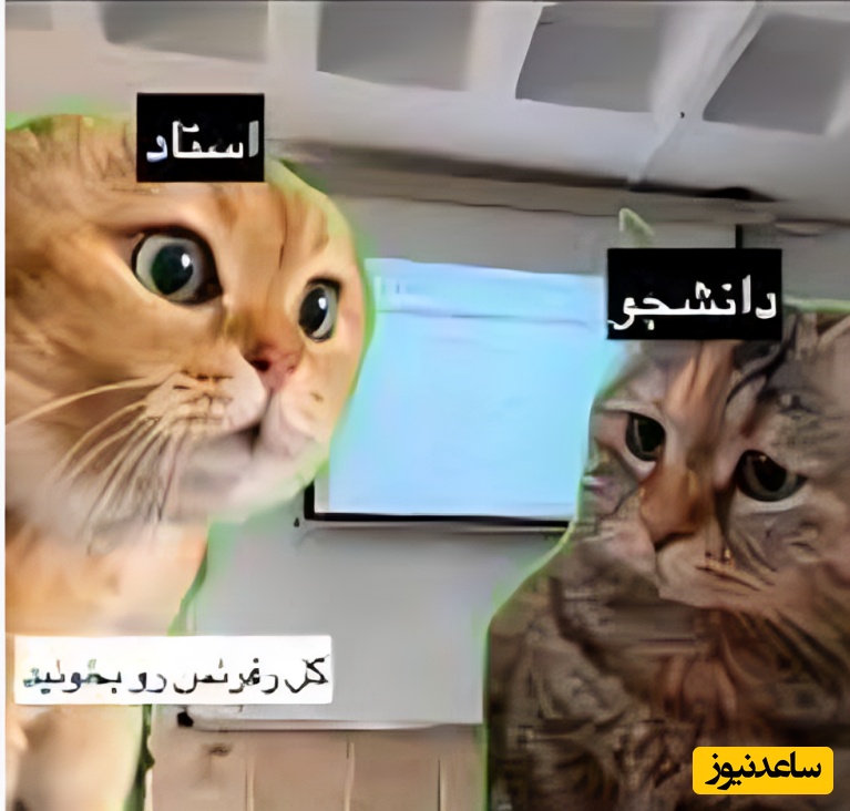 (ویدئو) طنز دانشجویی روز: این دقیقا اتفاقی که تو ارائه گروهی دانشگاه می‌افته!😂