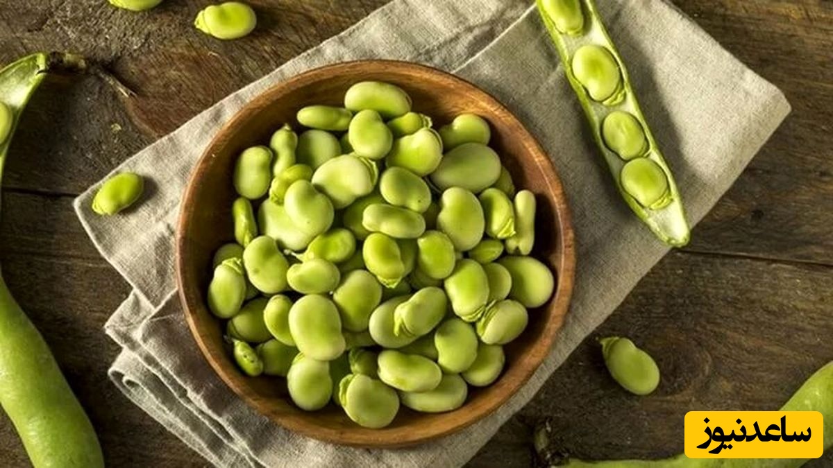 نحوه خشک کردن باقالی سبز؛ بهترین روش برای حفظ رنگ و عطر