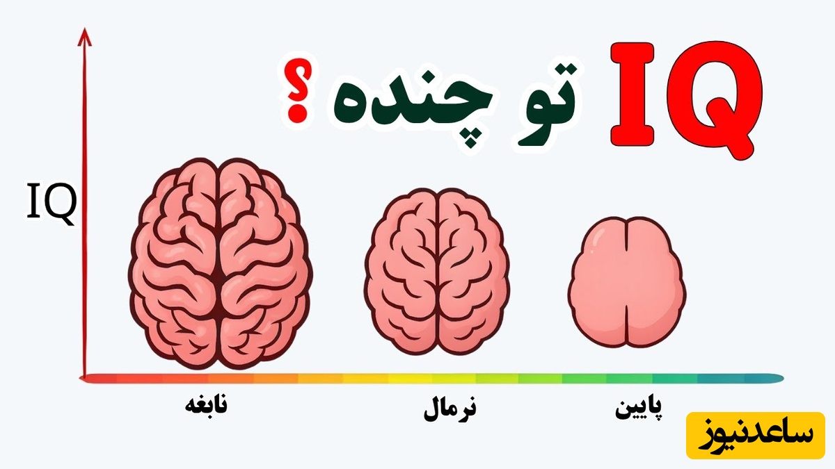 91 % از افراد نمی تونند این تست رو رد کنن؛ ببین  تو می تونی؟