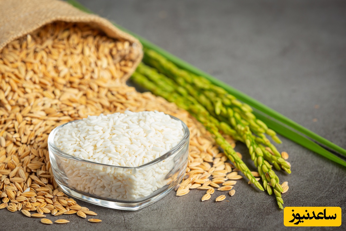 روش ساده و سریع تشخیص برنج تقلبی پلاستیکی در خانه