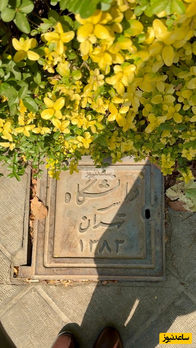 (ویدیو) قدم به قدم در دانشگاه تهران/ خوشبختی یعنی هر روز اینجا درس بخونی و رویاهاتو بسازی🤩