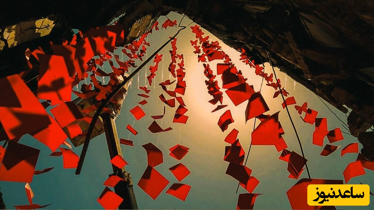 مدرسه شجره طیبه میناب