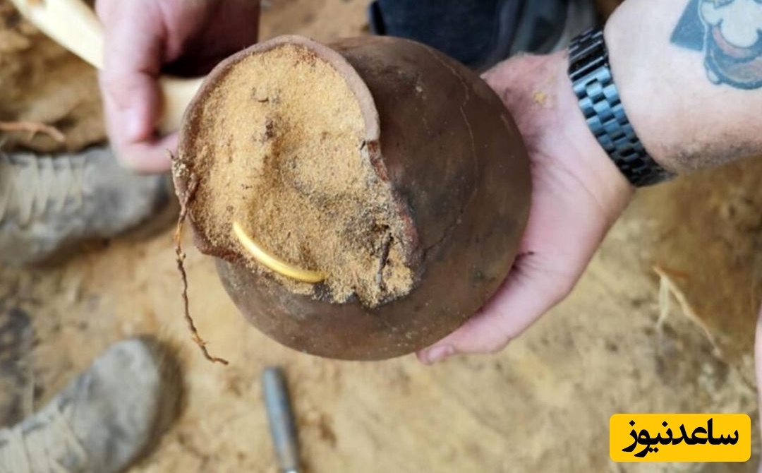 «کوزۀ گنج باستانی» در جنگل کشف شد