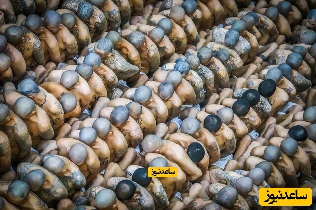 تصاویری که مهم‌ترین حوادث دنیا را مخابره کردند