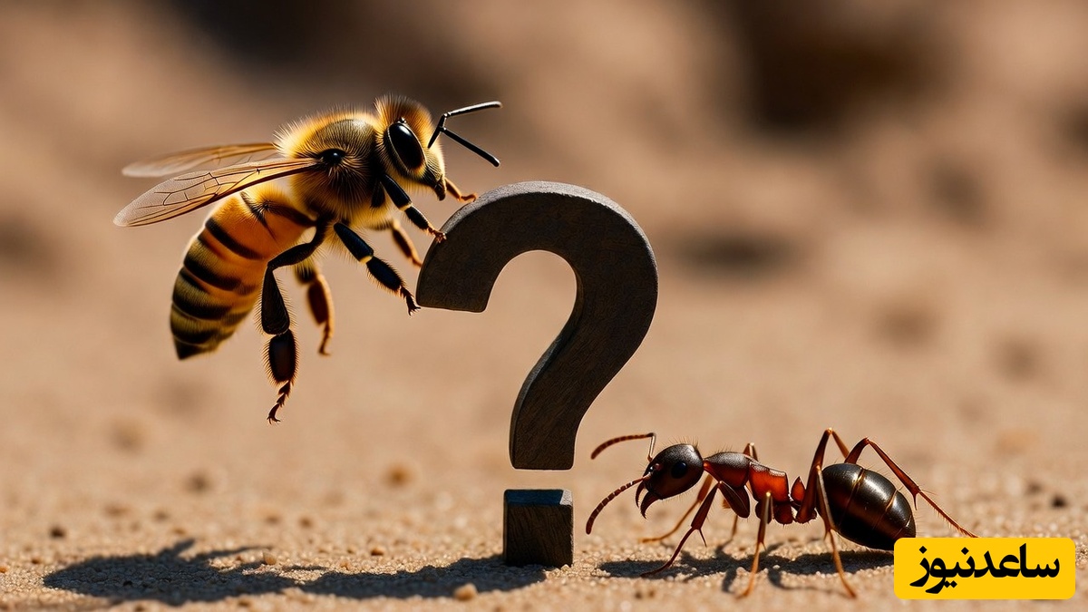 تست هوش: زنبور و مورچه! این معما رو حل کن اگه هوشت بالاست!