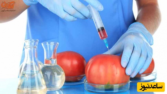 دانلود رایگان دفترچه سوالات و پاسخنامه آزمون دکتری بیوتکنولوژی (سال‌های 93 تا 96)