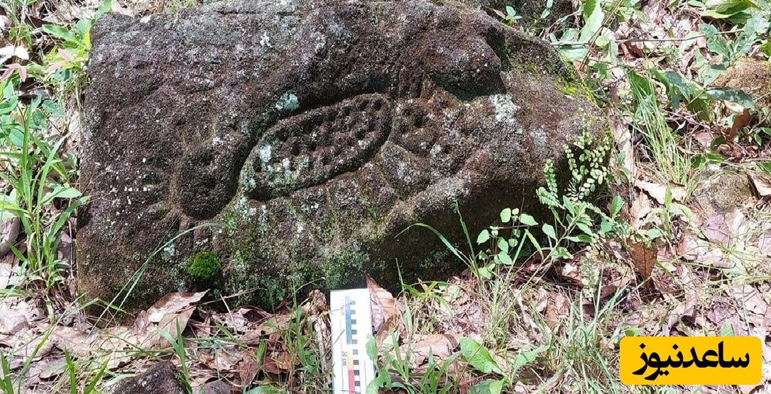 سنگ‌هایی با کنده‌کاری‌های مرموز در جنگل‌های مکزیک پیدا شدند