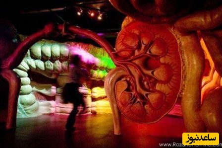 ساختمان با الهام از بدن انسان